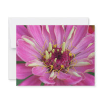 pink African Daisy Personalized Invite
