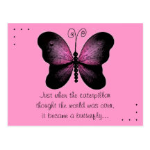 Pink and Black Butterfly Quote Post Card