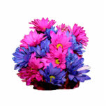 Pink and Blue Daisy Flower Bouquet Image Cut Out