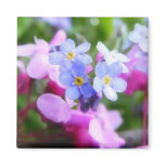 Pink And Blue Spring Flowers Magnets