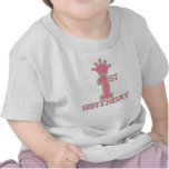 Pink and Green 1st Birthday Tee t-shirts