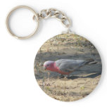 Pink And Grey Galah keychains