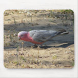 Pink And Grey Galah mousepads
