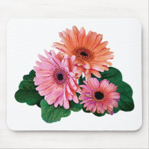 Pink and Orange Gerbera Daisies Mouse Pads