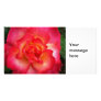 Pink and orange rose personalized photo card