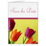 Pink and Orange Tulips, Save the Date Greeting Card