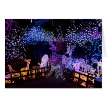 Pink And Purple Christmas Decorations Outdoors Card