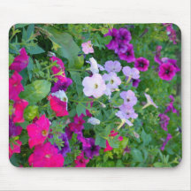 Pink and Purple Petunias Mousepad
