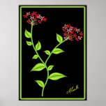 Pink and Red Flowers posters