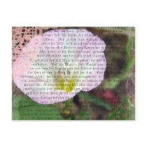 Pink and White Field BindWeed Postcard