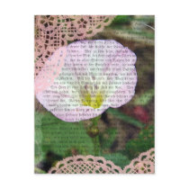 Pink and White Field BindWeed Post Cards