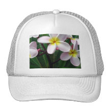 Pink and White Plumeria Hat