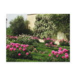 Pink and White Rose Garden Postcard