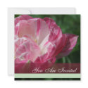 Pink and white tulip - Blank back invitations
