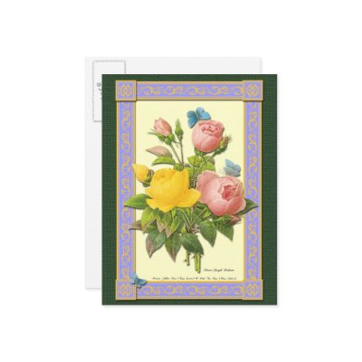 Pink and Yellow Botanical Roses Blank Postcard by thegardenpages