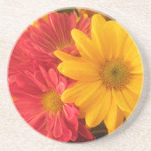 Pink and Yellow Daisies Beverage Coasters