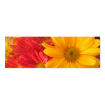 Pink and Yellow Daisies bookmark Business Card Template