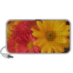 Pink and Yellow Daisies Portable Speaker