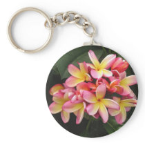 Pink and Yellow Plumeria Tropical Flowers