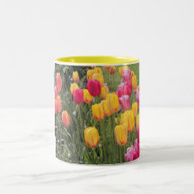Pink and Yellow Tulip Flowers Mugs