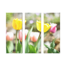 Pink and Yellow Tulips Stretched Canvas Prints