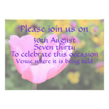 Pink Anemone Announcement