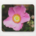 Pink Anemone Mousepad