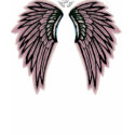 Pink Angel Wings Tee Shirt