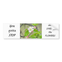 Pink Apple Blossom Bumper Sticker