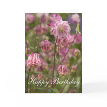 Pink aquilegia ...  card