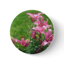 Pink Asiatic Lilies Button