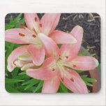 Pink Asiatic Lilies mousepads