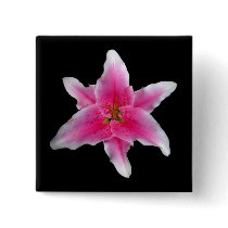 Pink Asiatic Lily