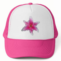 Pink Asiatic Lily