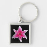 Pink Asiatic Lily Key Chain