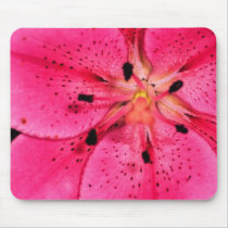 Pink Asiatic Lily Mouse Pads