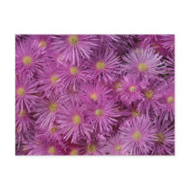 Pink Astors Post Card