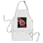 Pink Astrantia aprons