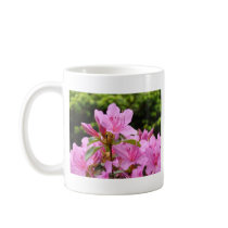 PINK AZALEA 12 FLOWERS Azaleas Cards Gifts Mugs