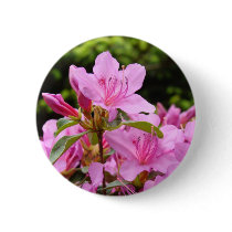 PINK AZALEA 12 FLOWERS Azaleas Cards Gifts Mugs