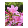 PINK AZALEA 12 FLOWERS Azaleas Cards Gifts Mugs Postcards