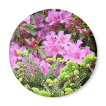 PINK AZALEA 30 FLOWERS Pine Cards Gifts Mugs