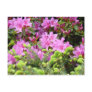 PINK AZALEA 30 FLOWERS Pine Cards Gifts Mugs