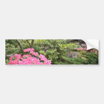Pink Azalea Bush Amid Shrubs flowers Bumper Sticker