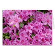 PINK AZALEA FLOWERS 1 Azaleas Cards Gifts Mugs