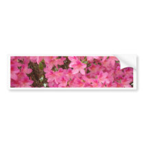 PINK AZALEA FLOWERS 27 Azaleas Cards Gifts Mugs