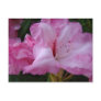 PINK AZALEA FLOWERS 29 Azaleas Cards Gifts Mugs Postcard