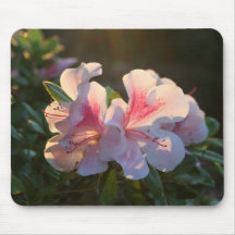 pink azalea mouse pads