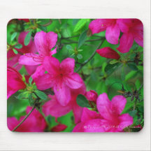 Pink Azalea Mousepad
