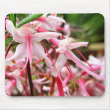 Pink azalea Mousepad